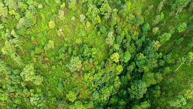 高山和森林的顶视图。视频素材