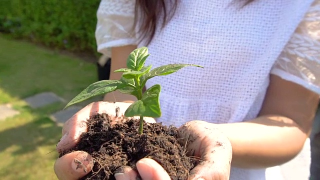 在慢镜头中，女人抱着植物树发芽。视频素材