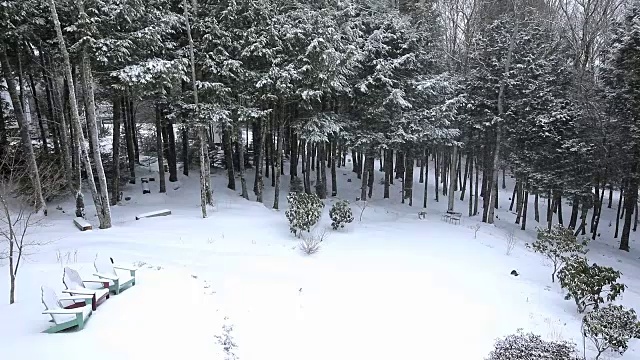 哈利法克斯的四月雪视频下载