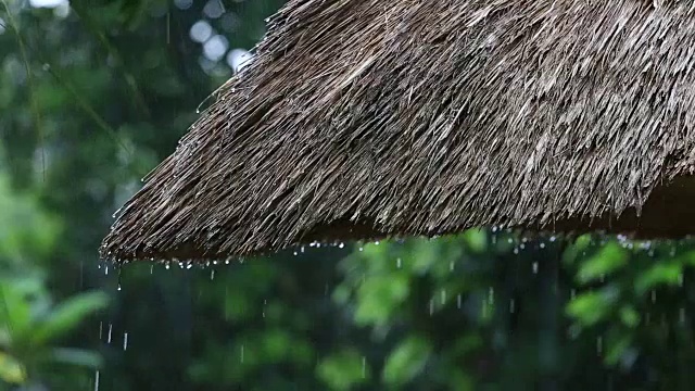 热带夏雨滴落在花园的稻草屋顶上。印尼巴厘岛视频素材