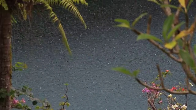 在印度尼西亚，夏日的雨水落在带有热带树木的游泳池上视频素材