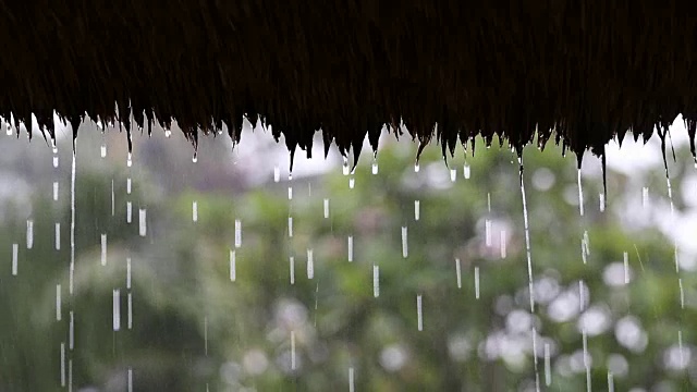 热带夏雨滴落在花园的稻草屋顶上。印尼巴厘岛视频素材