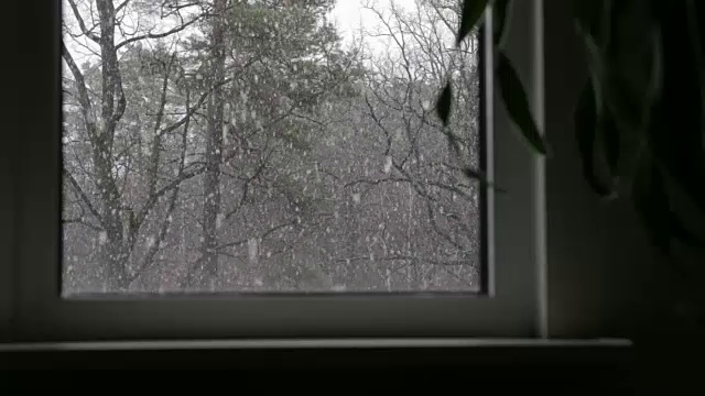 窗外的雪中间视频素材