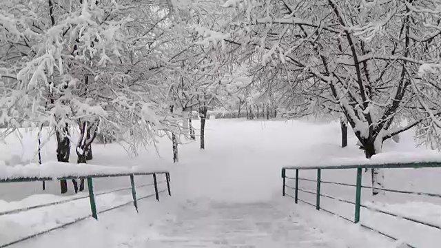 冬天的森林里大雪纷飞，楼梯一步一步下来视频下载