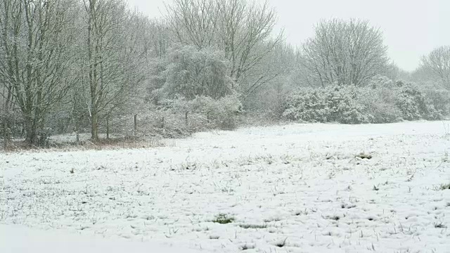 冬天，兰开斯特郊外的积雪。视频素材