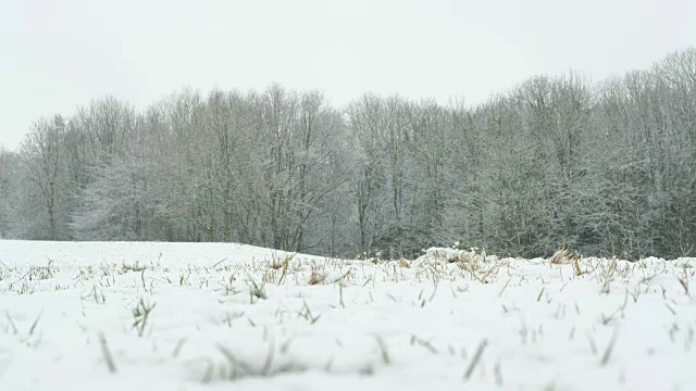 冬天，兰开斯特郊外的积雪。视频素材