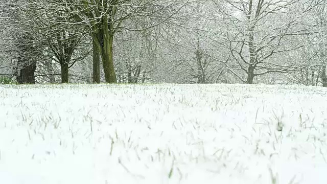 冬天，兰开斯特郊外的积雪。视频素材