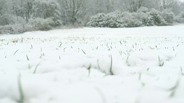 冬天，兰开斯特郊外的积雪。视频素材