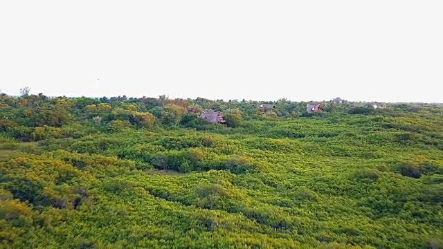 后退的空中小屋在密林视频素材