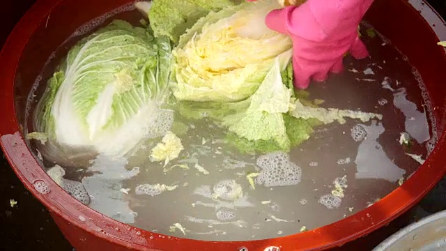 制作泡菜的观点是用盐保存视频素材