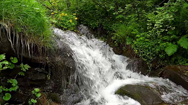 黄花山溪视频素材