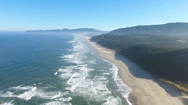 海岸线水海滩森林视频素材