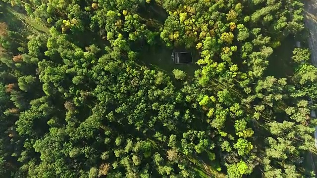 鸟瞰图相机移动从茂密的混合树顶的绿色森林上升视频下载