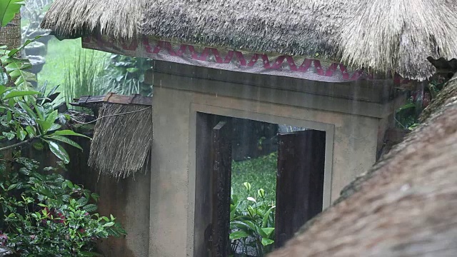 热带夏雨滴落在花园的稻草屋顶上。印尼巴厘岛视频素材