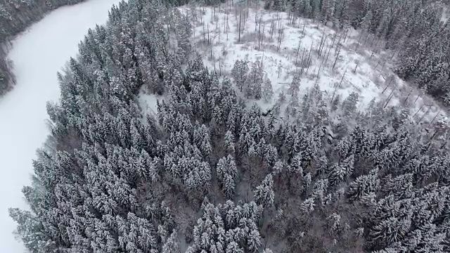 雪地森林的冬季鸟瞰图视频素材