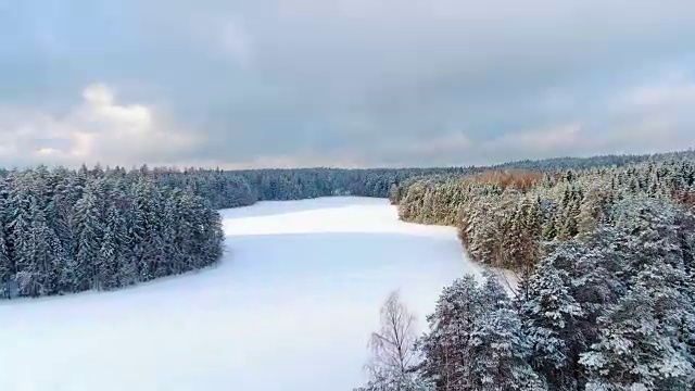 雪地森林的冬季鸟瞰图视频素材