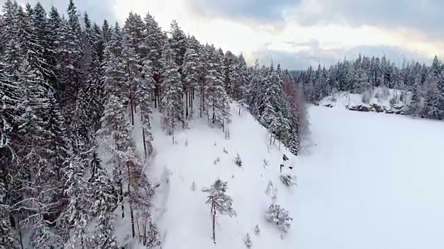 雪地森林的冬季鸟瞰图视频素材