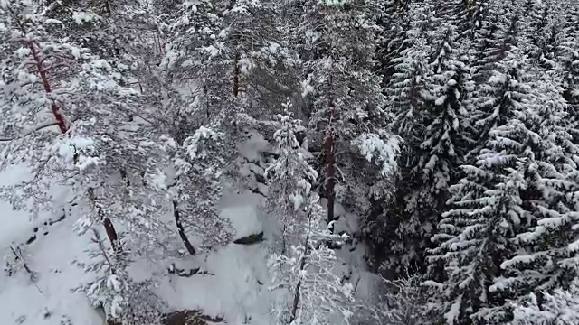 雪地森林的冬季鸟瞰图视频素材