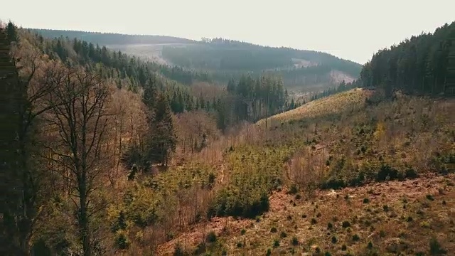 鸟瞰图:日落时分，比利时阿登山谷的森林视频素材