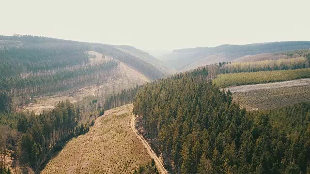 鸟瞰图:日落时分，比利时阿登山谷的森林视频素材