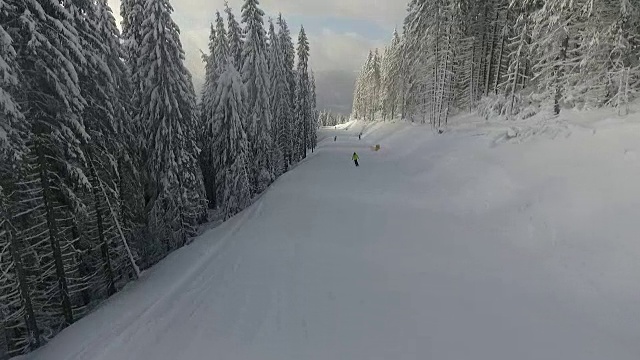 高速公路上的滑雪者在白雪皑皑的松林之间。视频素材