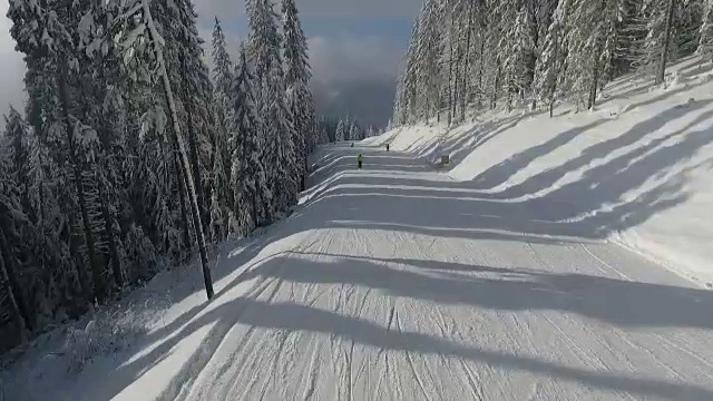 高速公路上的滑雪者在白雪皑皑的松林之间。视频素材