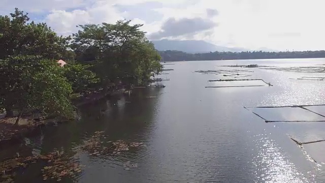 山、湖岸树木和植被。无人机的空中。视频素材