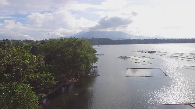 山、湖岸树木和植被。无人机的空中。视频素材