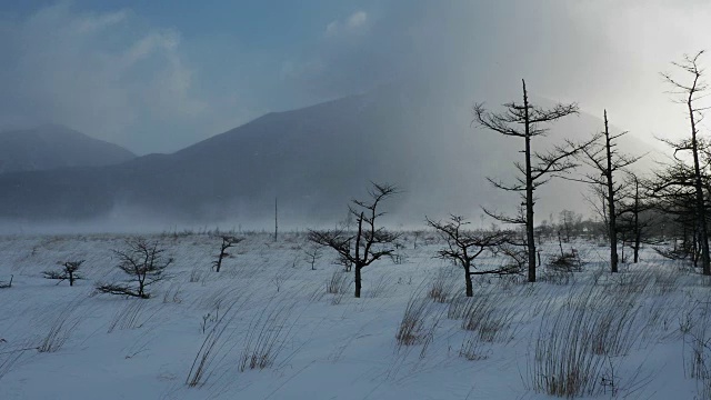 南泰山和森宿原视频素材