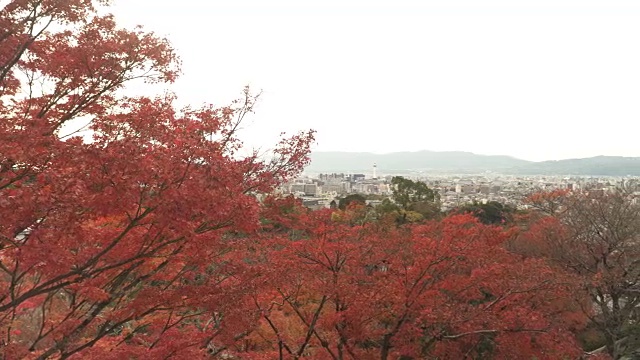 鸟瞰图:京都城东视频素材