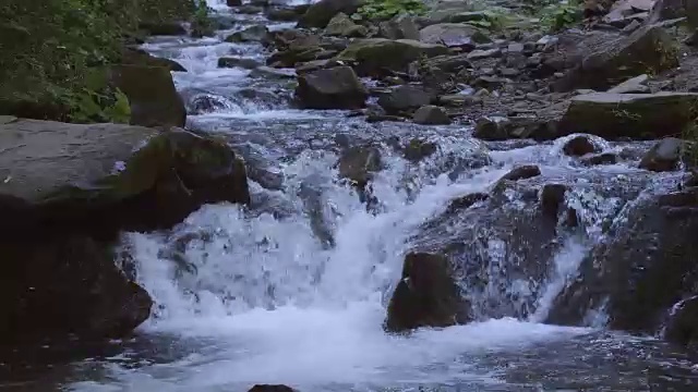 山河的水流入水池。视频素材