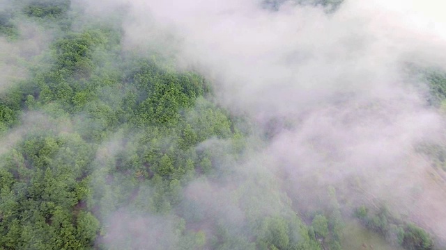 鸟瞰图的山与晨雾视频素材