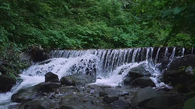 夏季水景季节视频素材