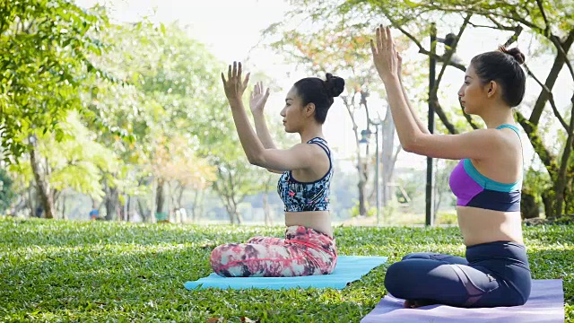 两个年轻女人在早上的公园里做瑜伽视频素材