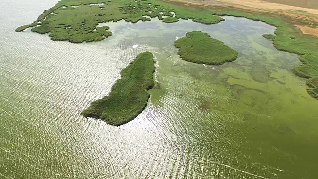 天线:芦苇湖的回水视频素材