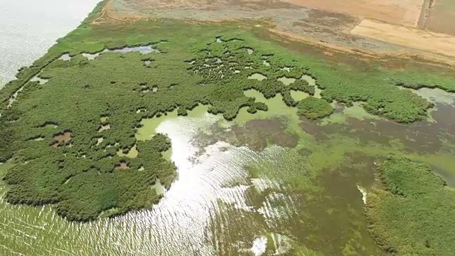 天线:芦苇湖的回水视频素材