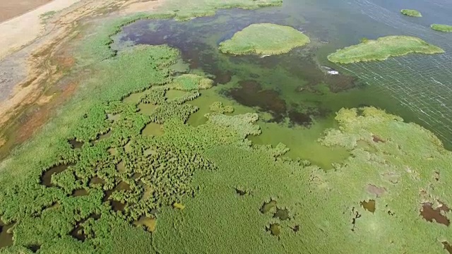 天线:芦苇湖的回水视频素材