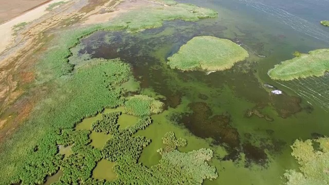 天线:芦苇湖的回水视频素材