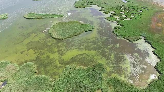 天线:芦苇湖的回水视频素材