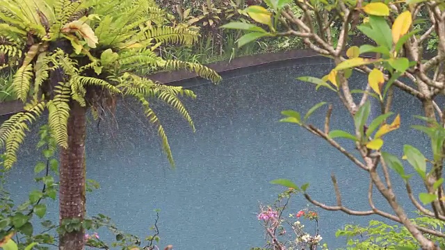 在印度尼西亚，夏日的雨水落在带有热带树木的游泳池上视频素材