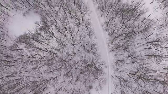 蜿蜒的道路穿过白雪覆盖的树林视频下载