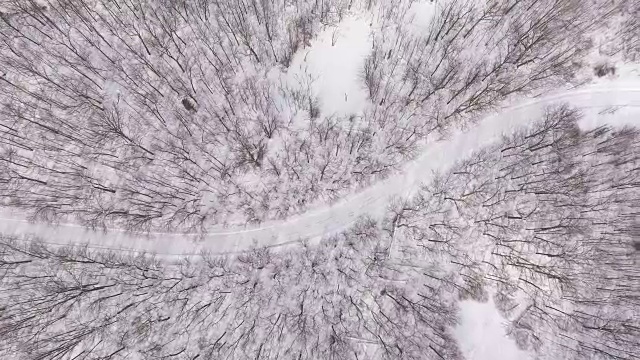 蜿蜒的道路穿过白雪覆盖的树林视频下载