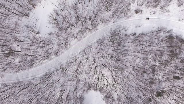 蜿蜒的道路穿过白雪覆盖的树林视频下载