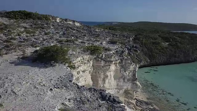 巴哈马群岛，荒无人烟的Blackpoint海滩上的岩石鬣蜥视频下载