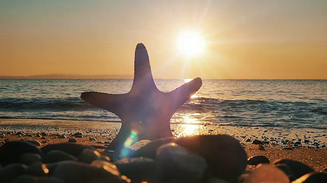 海星日落海视频素材