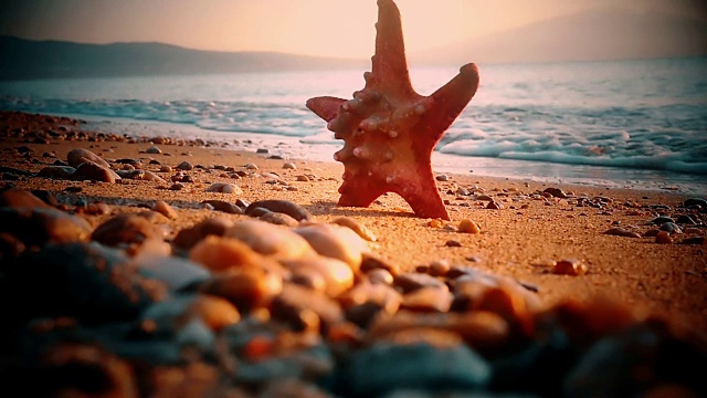 海星日落海视频素材