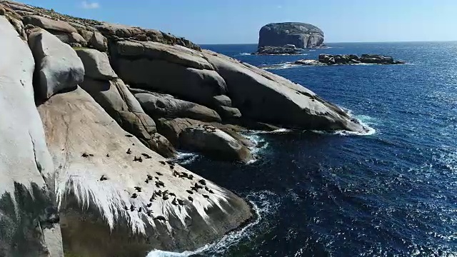 海豹躺在岩石上，海浪拍打着它们视频素材