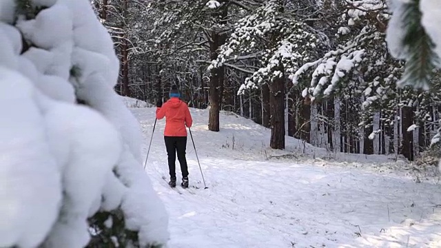 女人在森林里越野滑雪视频素材