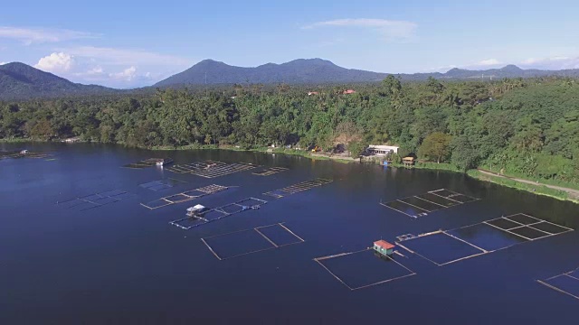 山、湖岸树木和植被。无人机的空中。视频素材