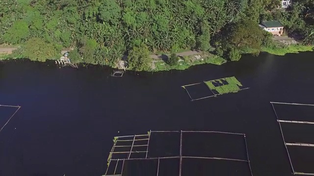 山、湖岸树木和植被。无人机的空中。视频素材